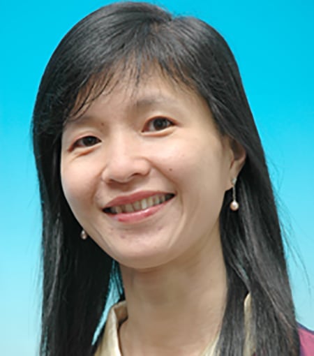 Professor Dr Seow Liang Lin