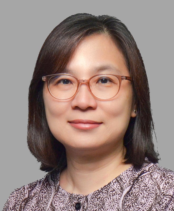 Professor Dr Hui Meng Er