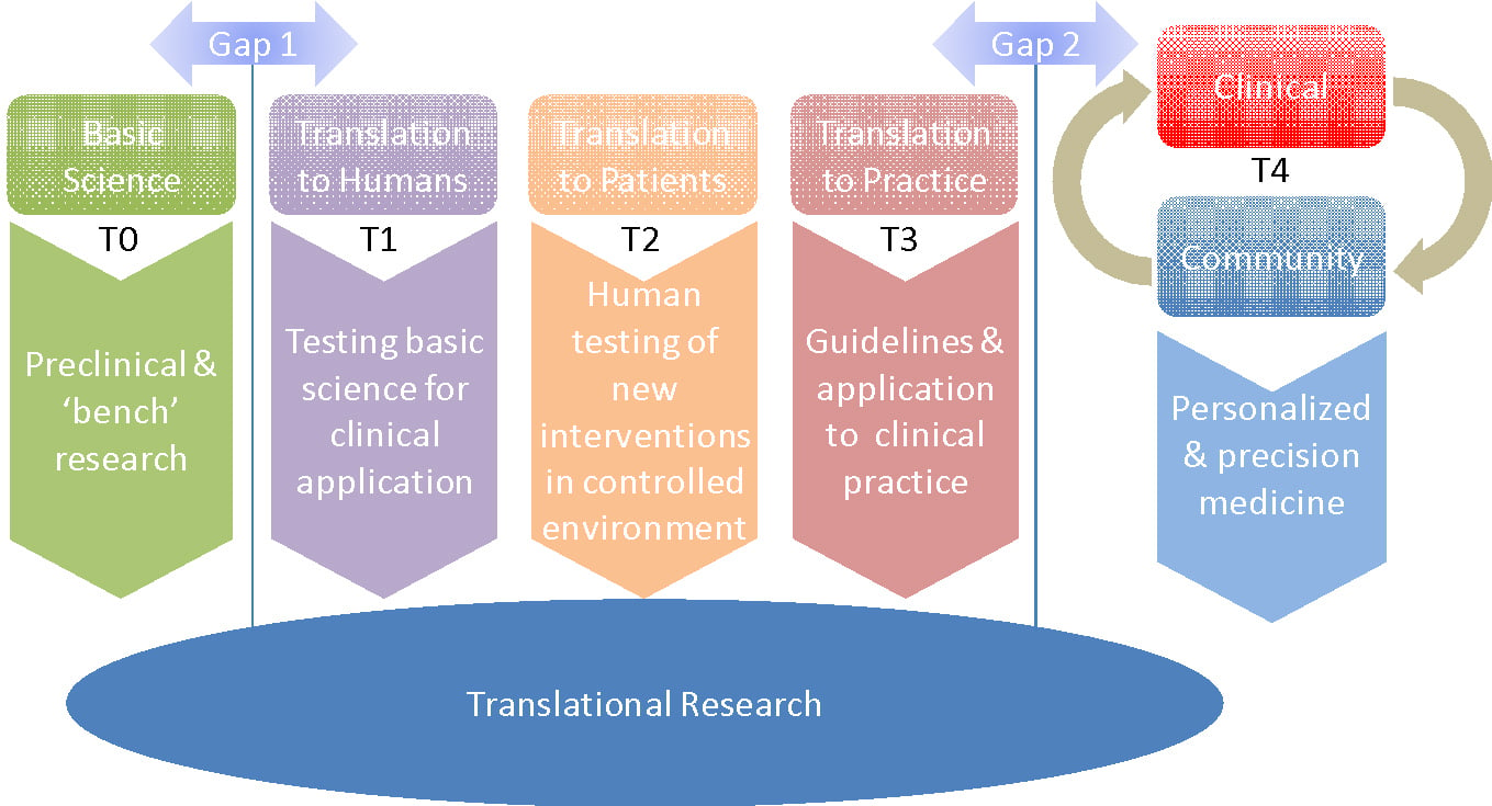 a translational research of