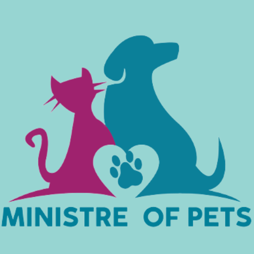 Ministre’ of Pets is dedicated to delivering affordable and comprehensive veterinary care for pets, addressing a wide range of needs with expertise in various fields. Their services include internal medicine, comprehensive health screenings, neutering, soft tissue surgery, vaccinations, deworming, heartworm prevention, and advanced diagnostics such as ultrasound and laser treatments. They also offer blood testing, dentistry, intensive care, pet boarding, house calls, pet taxi services, as well as cremation and disposal. Additionally, Ministre’ of Pets facilitates pet import and export, ensuring a holistic approach to pet healthcare and well-being.