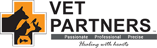 Vet Partners is a dedicated group of animal enthusiasts and professionals committed to improving the health and happiness of your furry companions. They believe that every pet deserves exceptional care, and they are here to make that a reality. Since their inception in 2004, they have expanded significantly, now operating 13 state-of-the-art veterinary clinics and 2 well-equipped medical centers in Johor, with an additional clinic in Puchong.