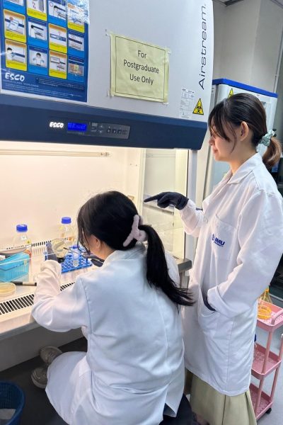 Lab Gladys