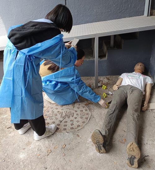 Outdoor scene examination
